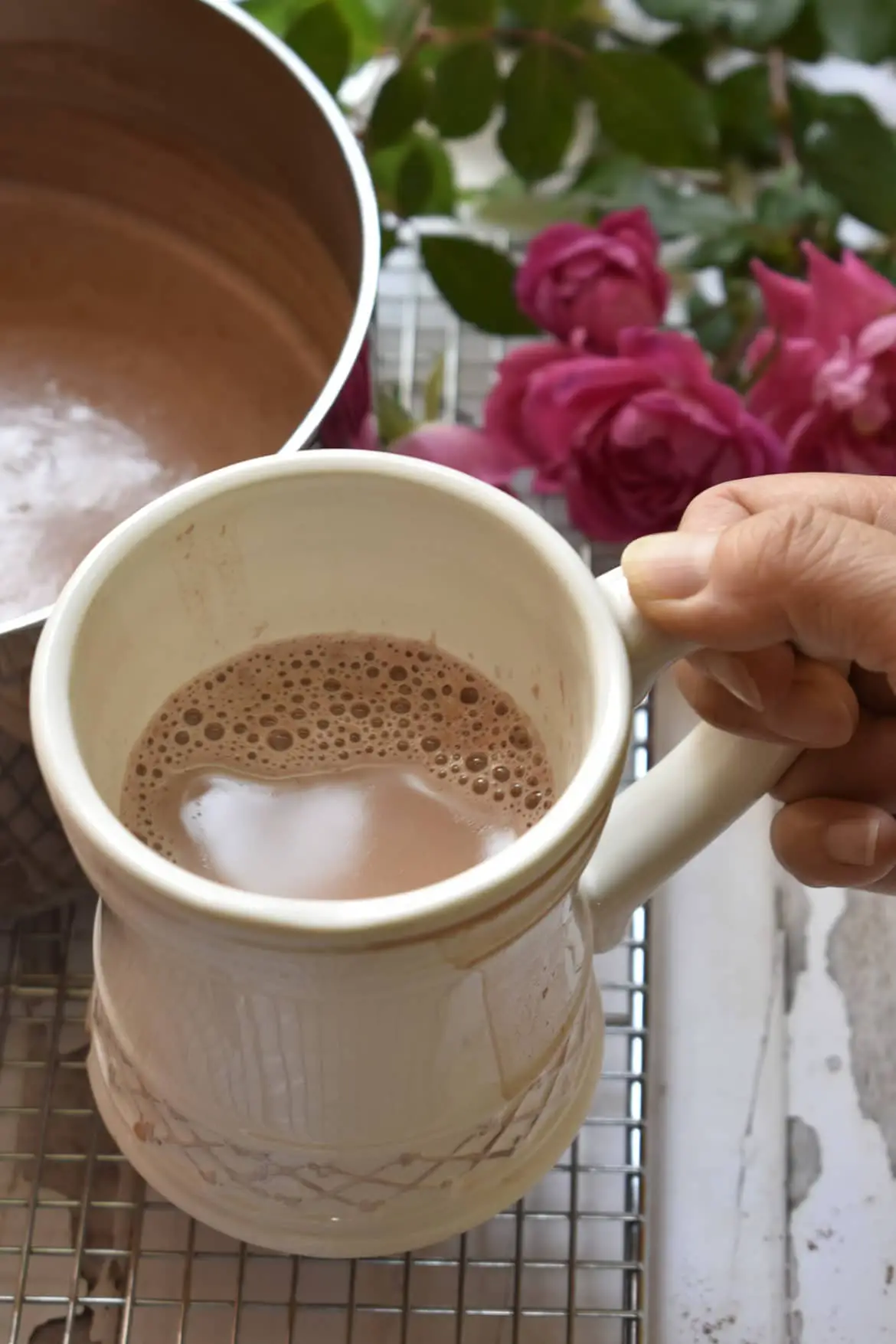 Homemade Hot Chocolate {Easy Healthy Way} - HomeNaturallyMade