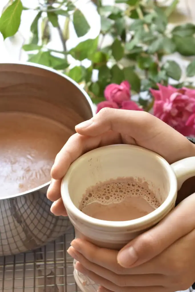 homemade wholesome hot coca