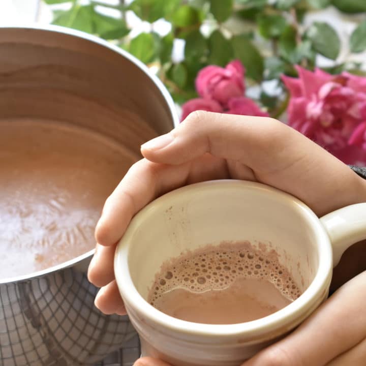 homemade wholesome hot coca