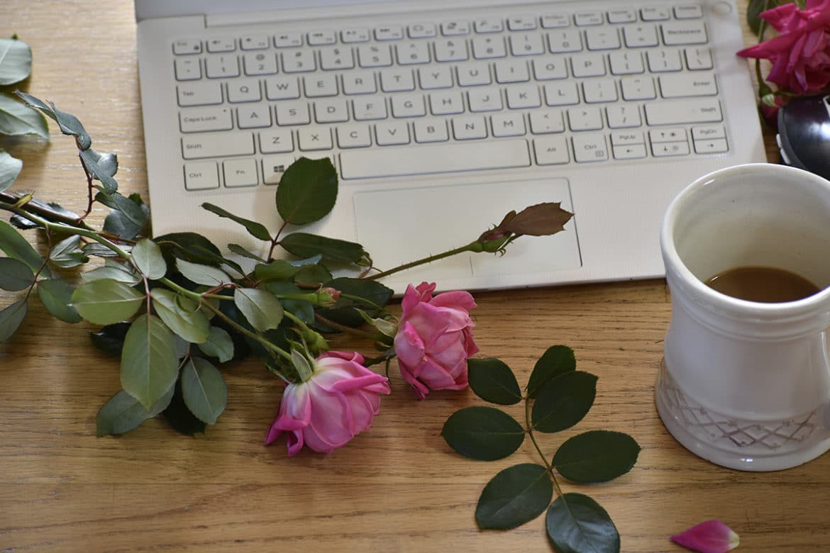 laptop rose coffee