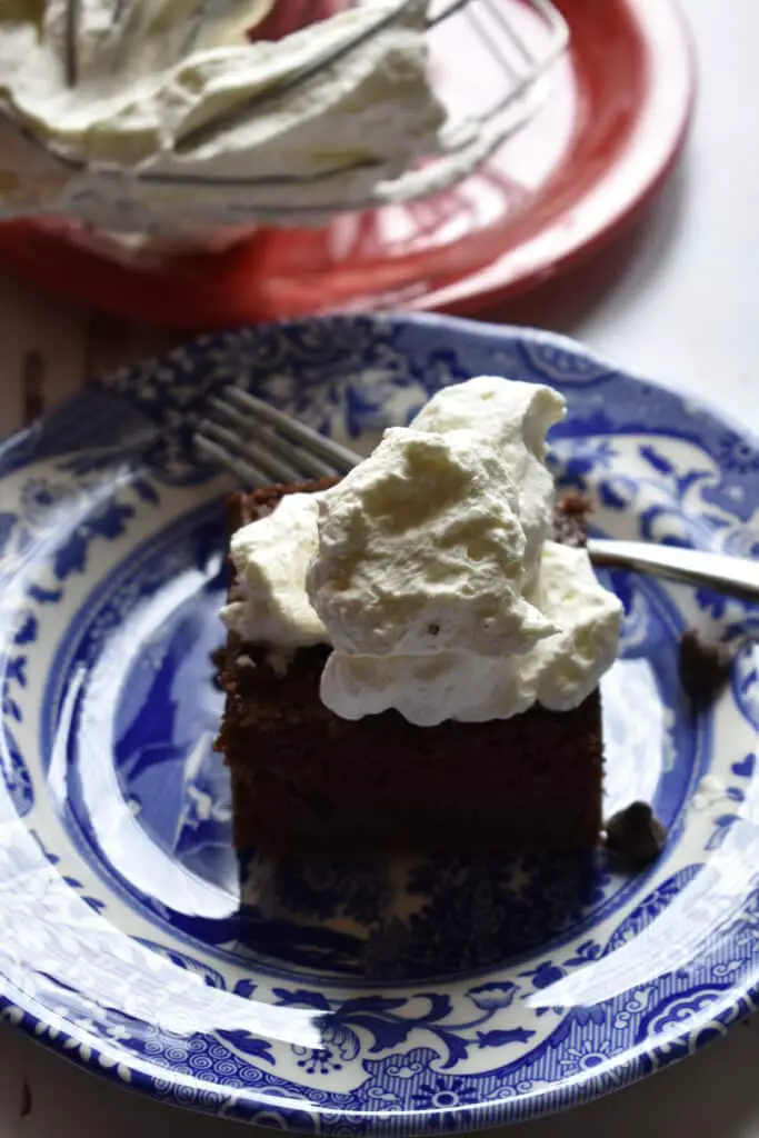 Basic Dark Chocolate Cake with Homemade Whipped Cream