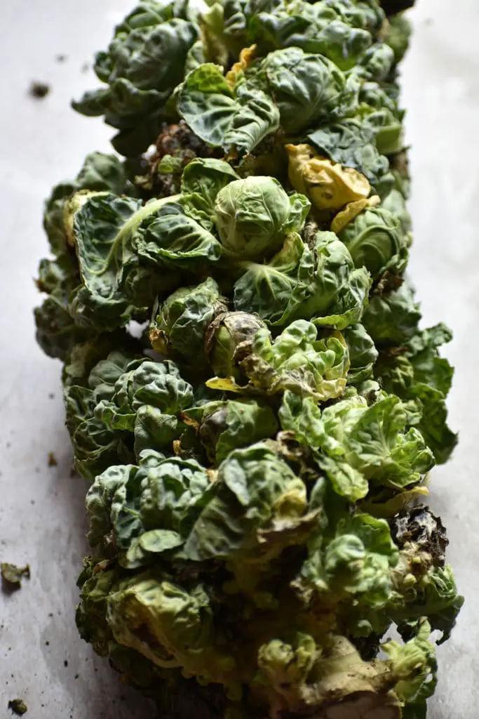 homegrown brussels sprouts