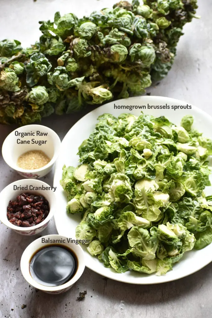 balsamic brussels sprouts ingredients