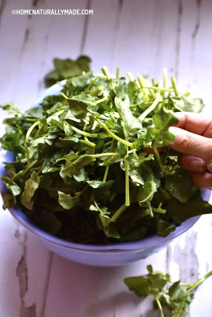 Watercress for Chinese Stir Fry Noodles