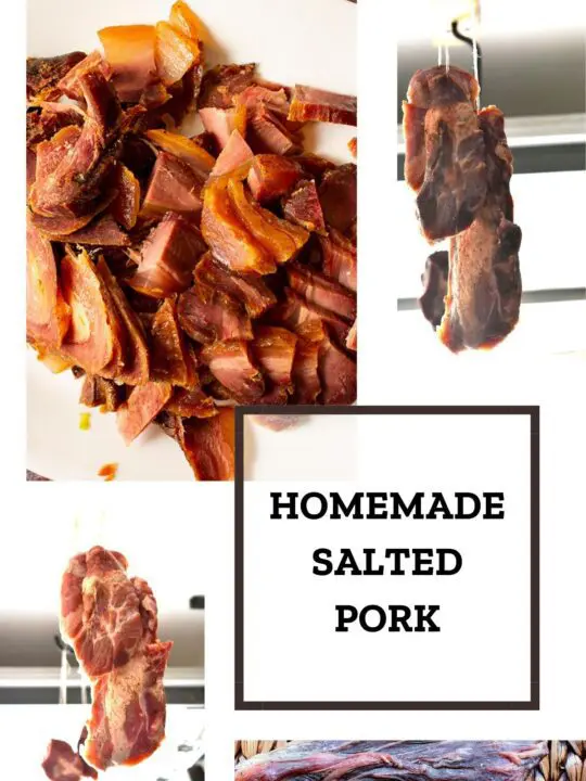 https://homenaturallymade.com/wp-content/uploads/2020/12/2021_05_07_featured_salted-pork-540x720.jpg