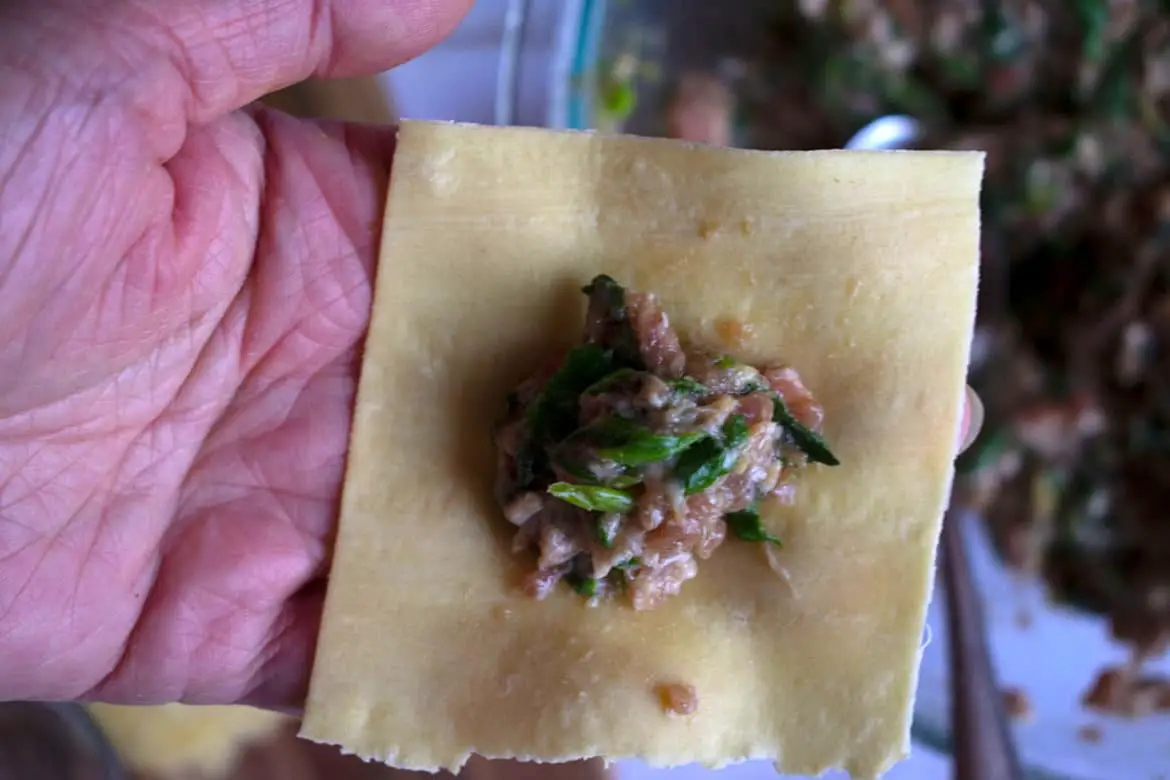 How To Wrap Wontons Classic Way HomeNaturallyMade   Small V3 DSC1276 1 1170x780 