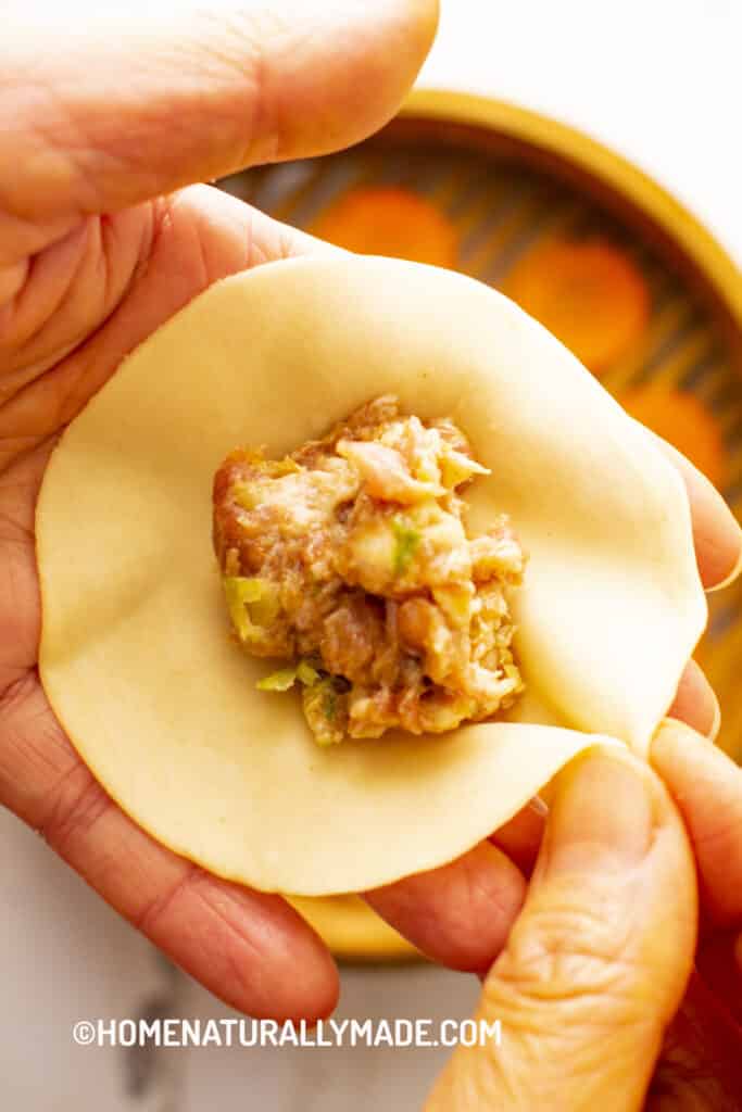 pork filling on a homemade dumpling wrapper