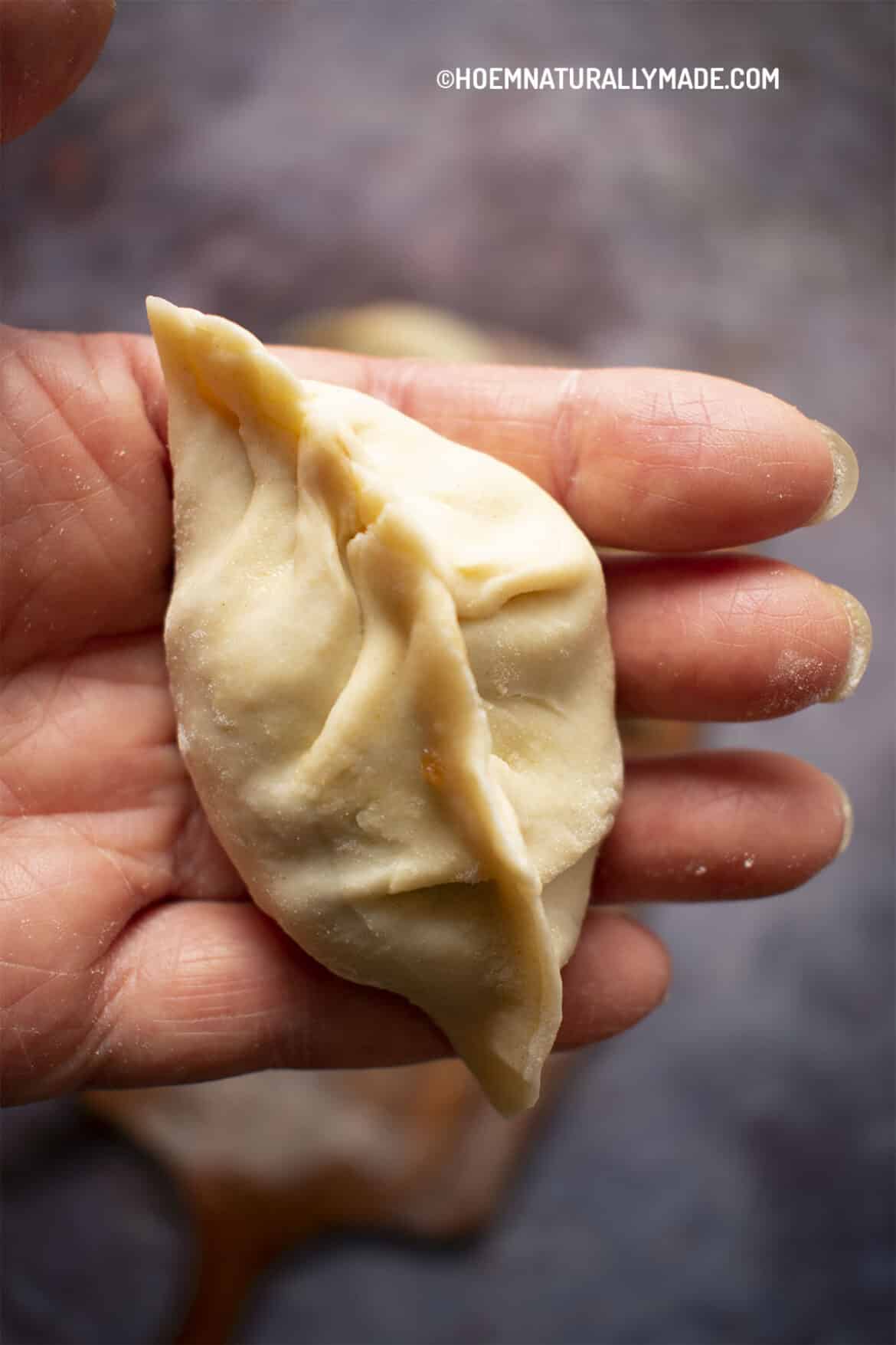 Wrap Jiao Zi Easy Classic Way