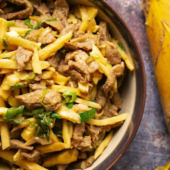 Stir Fried Winter Bamboo and Pork Slices {Dong Sun Chao Rou Si}