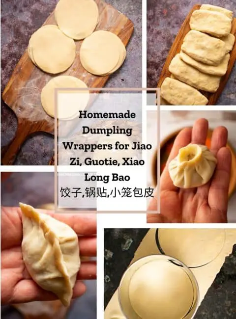 dumpling-wrappers-archives-homenaturallymade