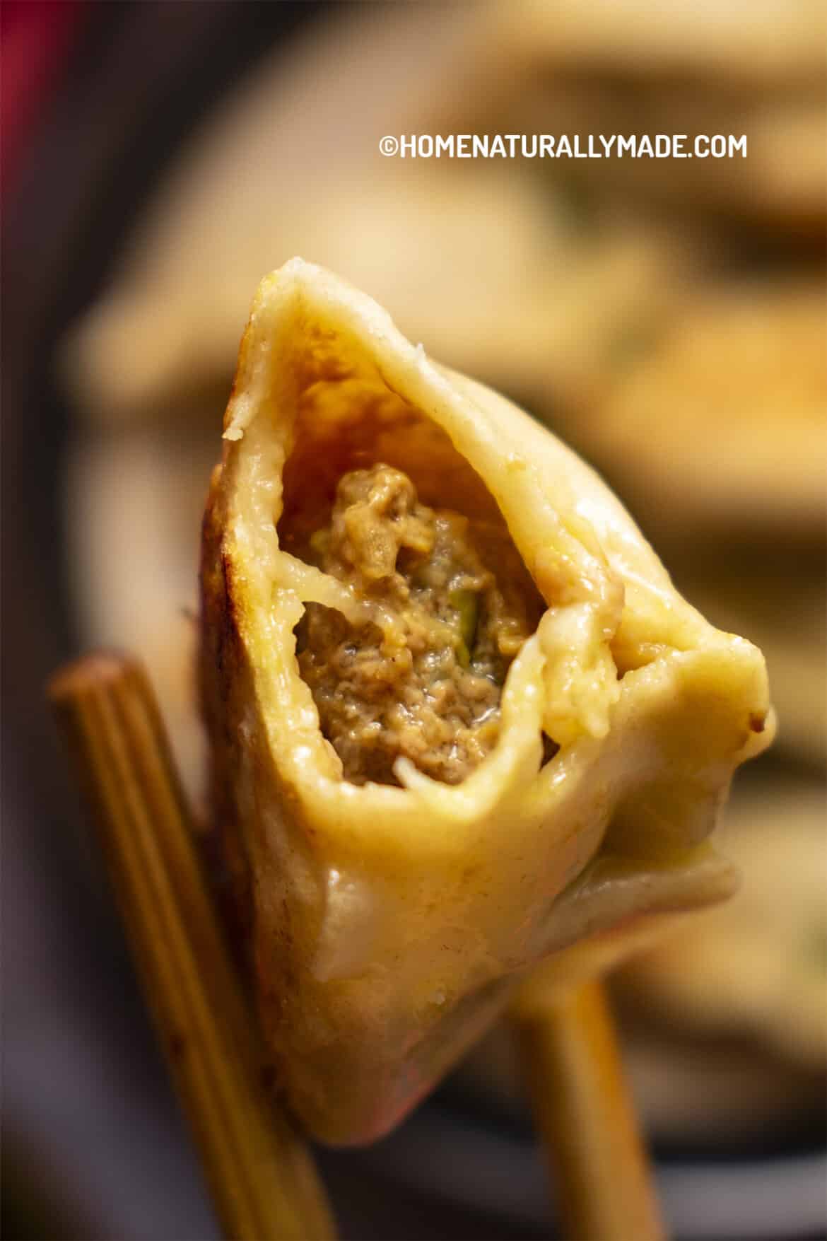 Beef Guotie {Pot Stickers Northwest Chinese Style}