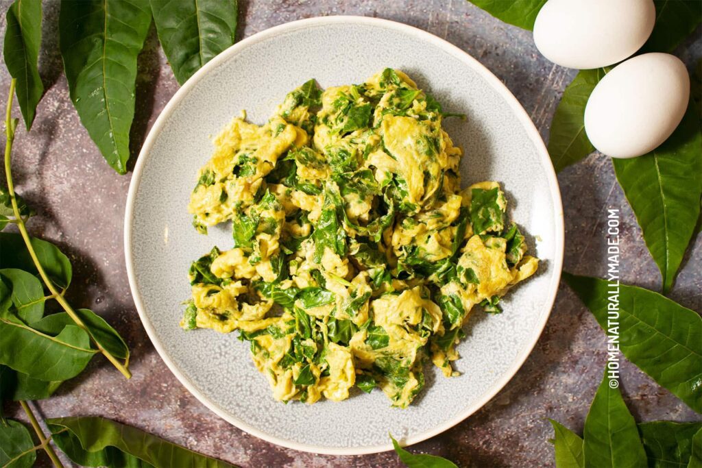 Fried egg with Xiang Chun Toona Sinensis - HomeNaturallyMade