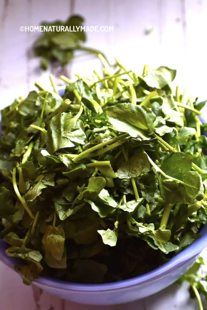 washed and cleaned watercress