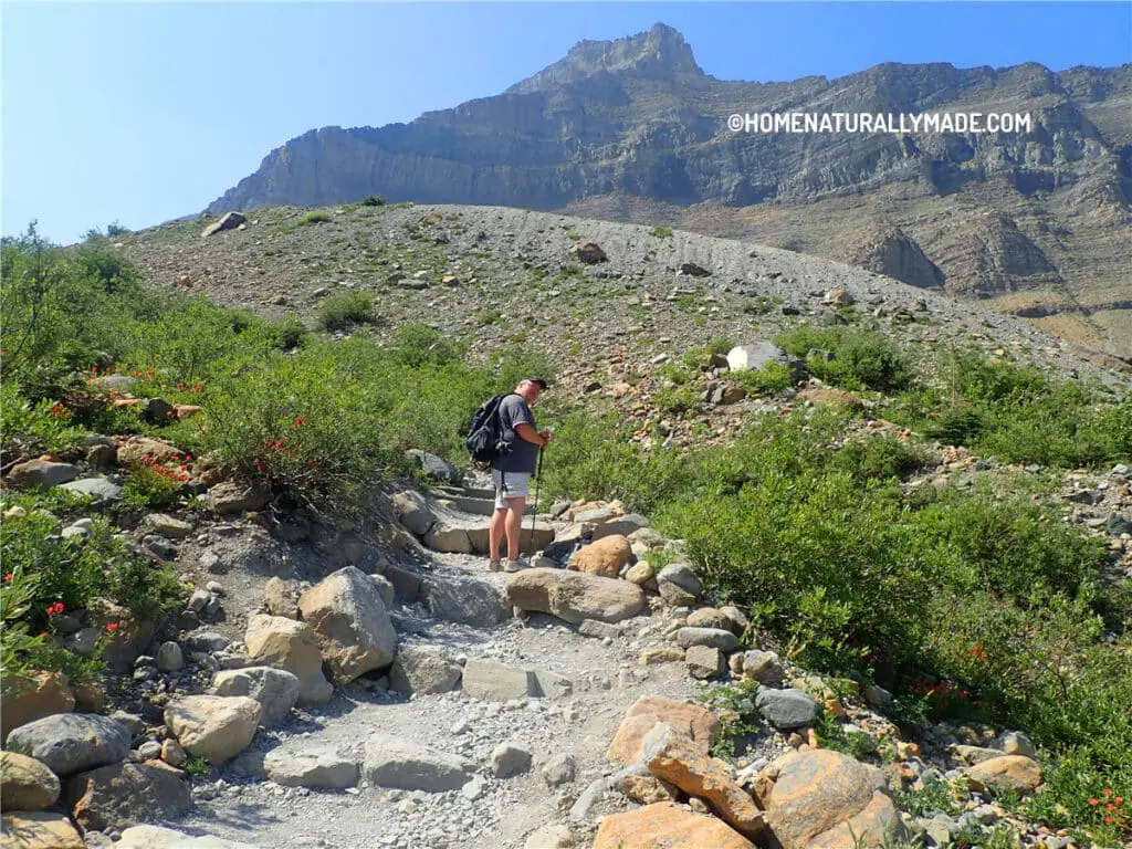 toward end of Grinnell Glacier Trail, rocky path and hill