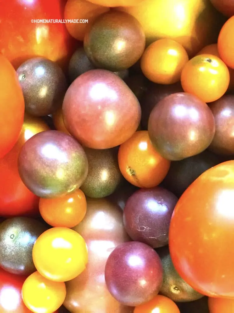 Home Vegetable Garden Grown Tomato Varieties