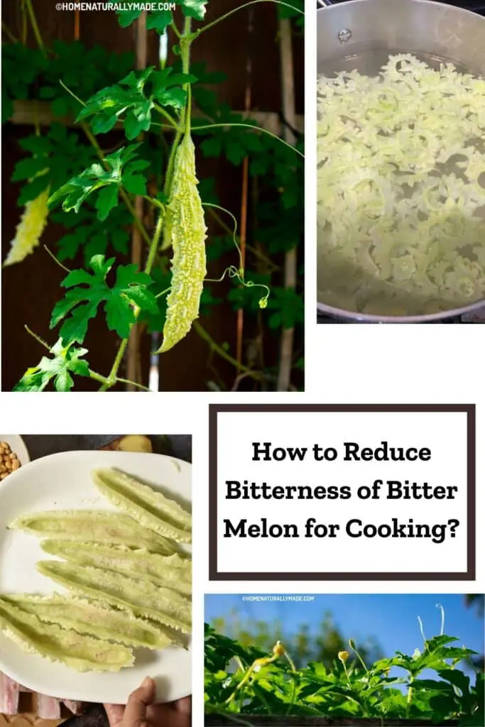 how to reduce bitterness of bitter melon