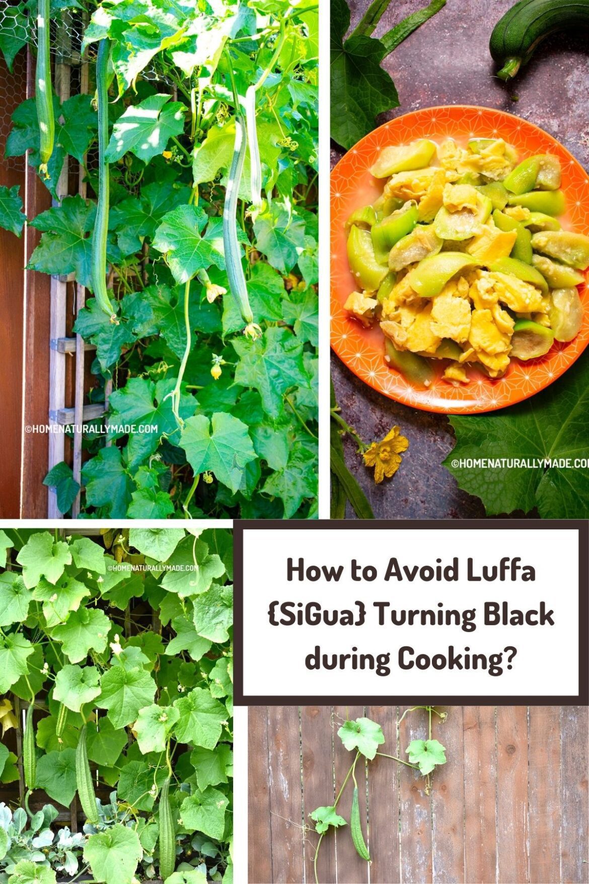 how to avoid Luffa turning black during cooking?