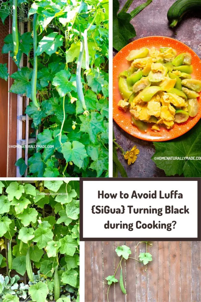 how to avoid Luffa turning black during cooking?