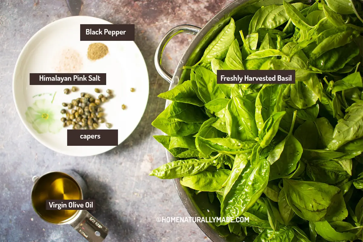 Simple Basil Pesto Ingredients