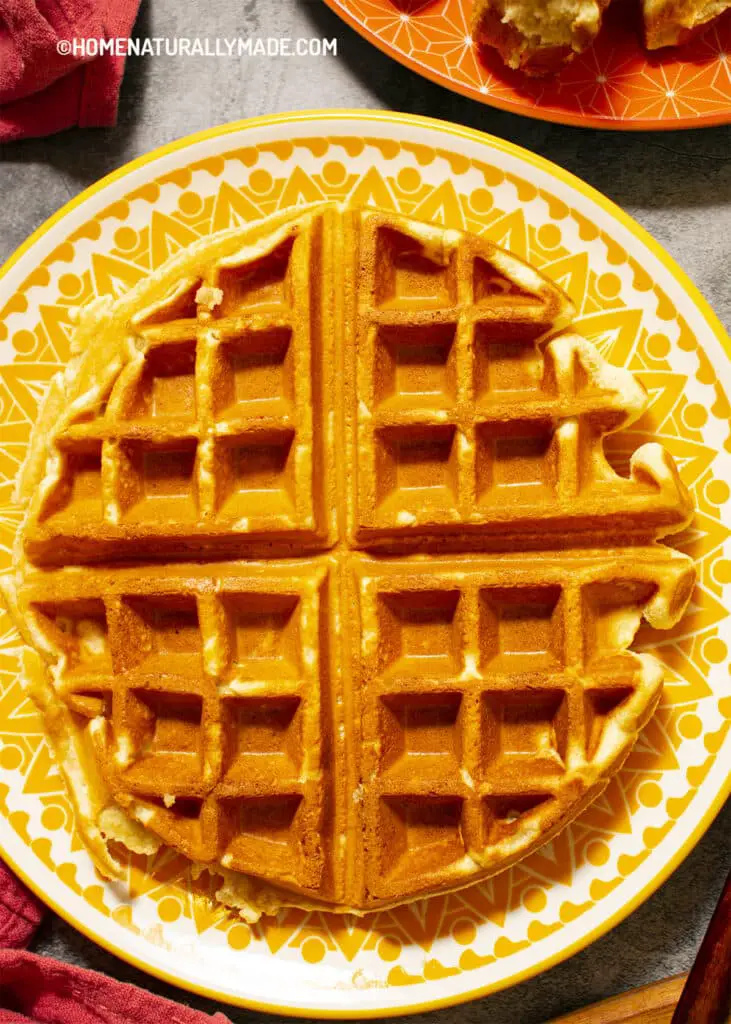 Coconut Flour Waffles {Easy Yummy Healthy}