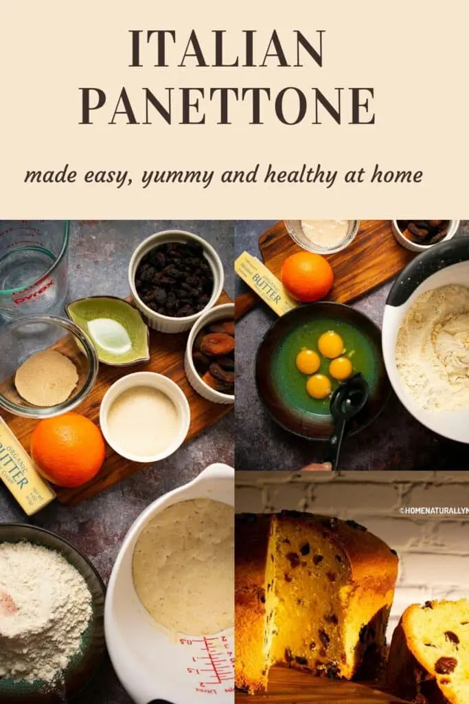 Ingredients to make Italian Panettone easy yummy and healthy at home