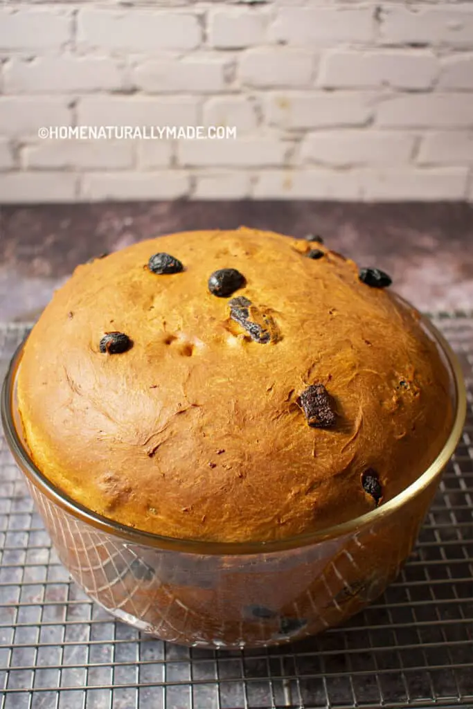 freshly baked Italian Panettone on the wire rack