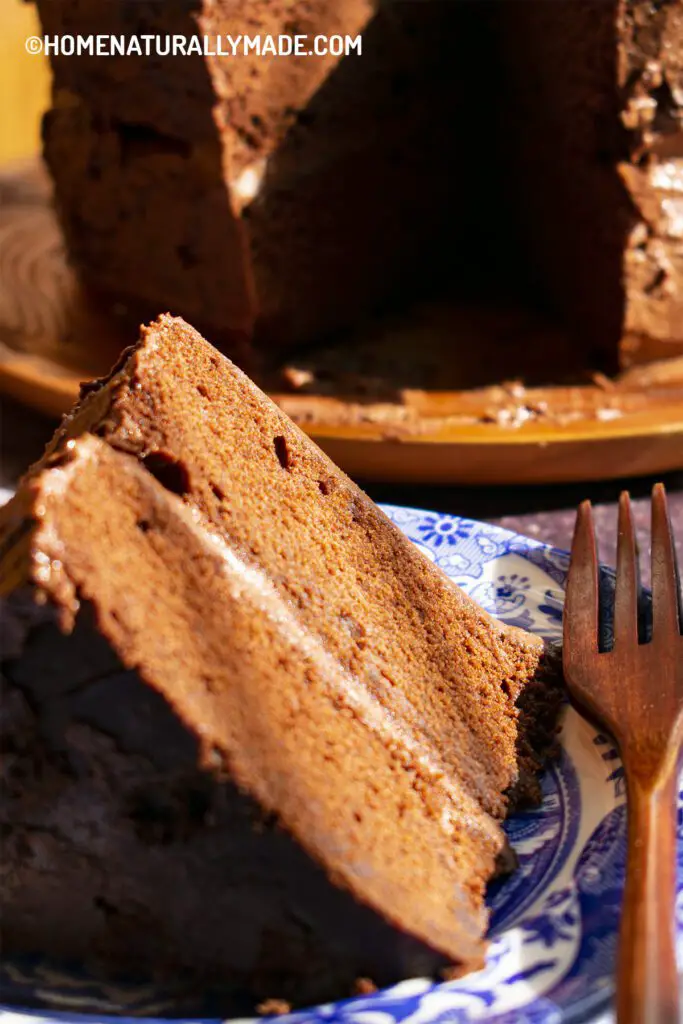 Dark Chocolate Cake with Green Yogurt Chocolate Frosting