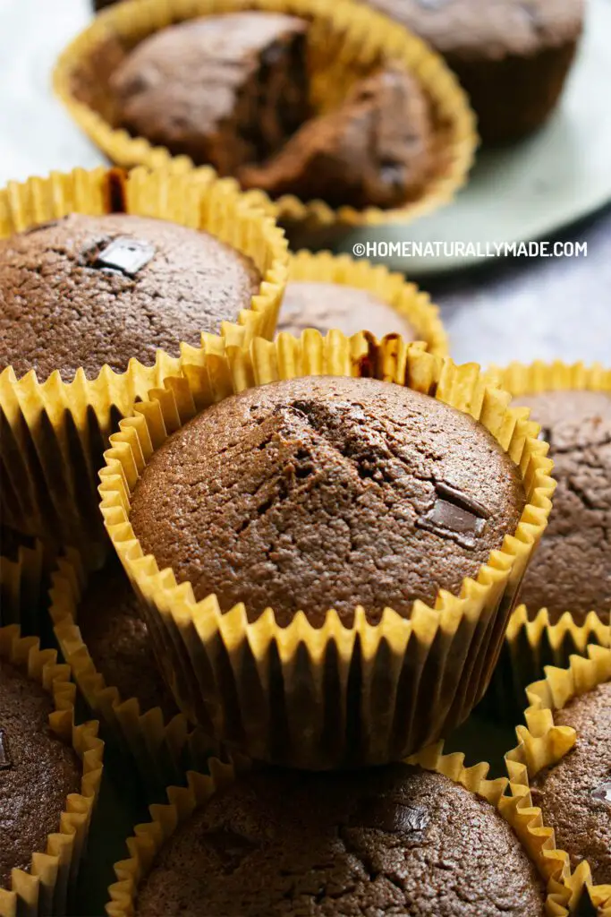 Chocolate Muffins Recipe