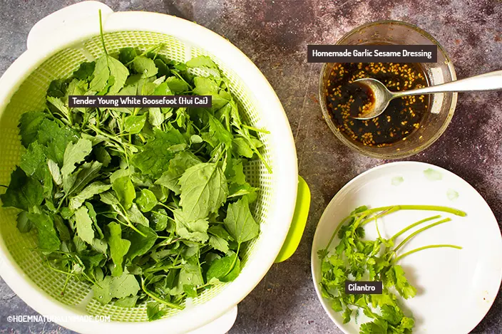 Hui Cai Salad {White Goosefoot} Ingredients