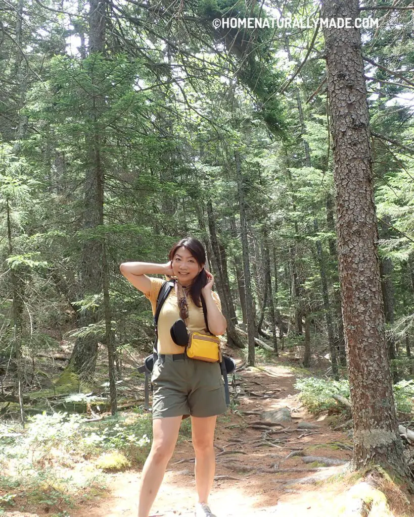 hike in Acadia National Park