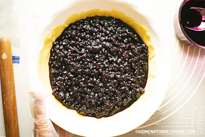 wild blueberry in the freshly made pie crust