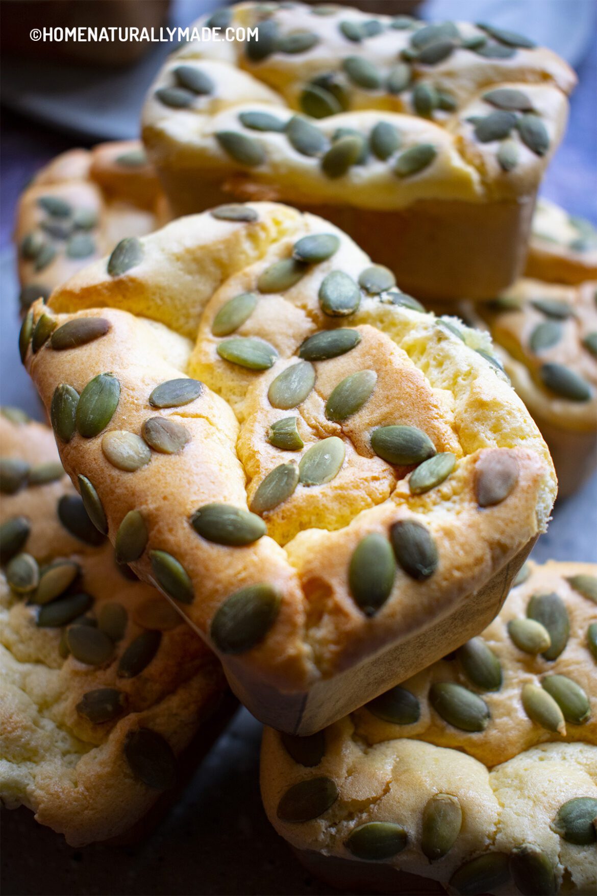 Chinese Bakery Raisin Egg Cake {Ti Zi Dan Gao} Recipe