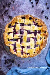 homemade scratch blueberry pie recipe