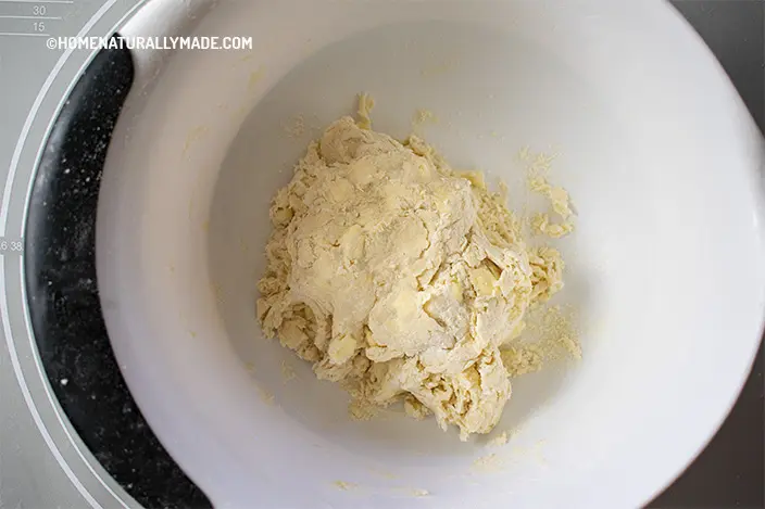 dough for pie crust in the mixing bowl