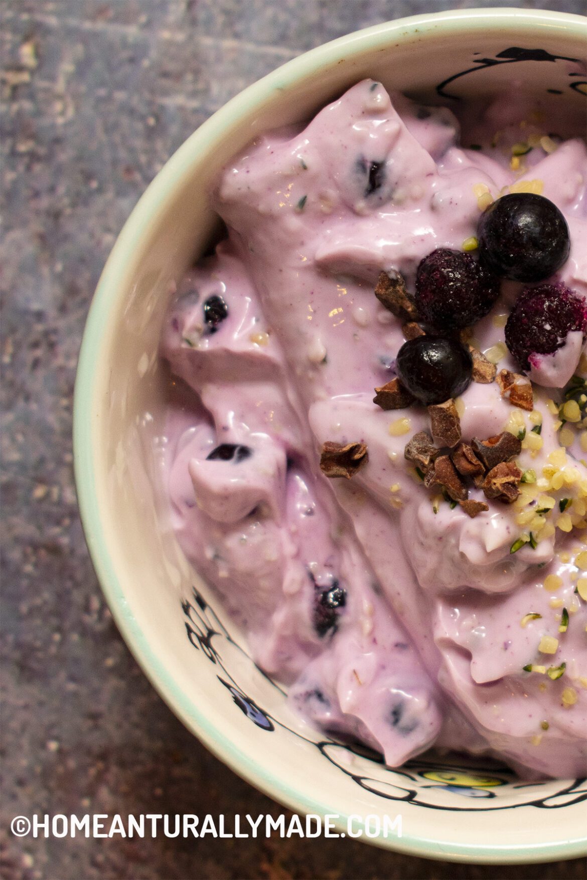 Berry Greek Yogurt DIY HomeNaturallyMade