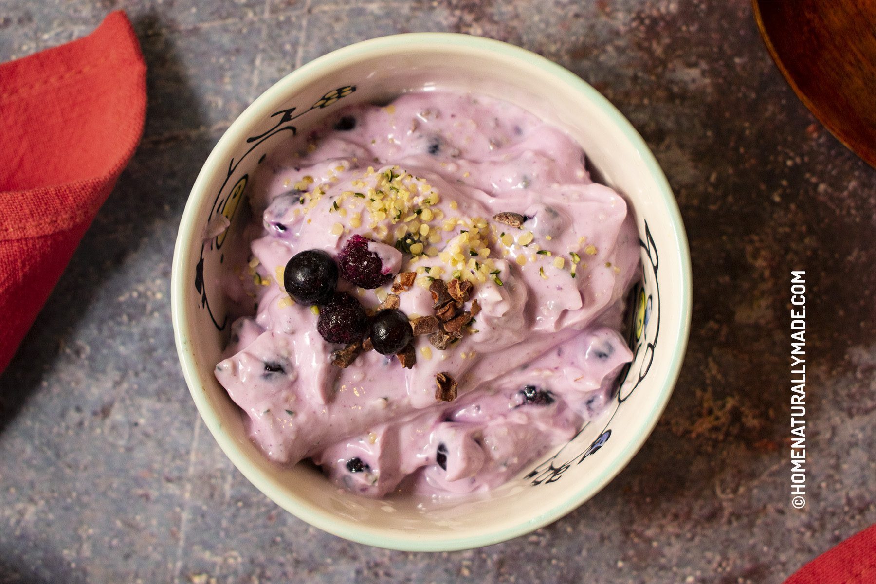 blueberry Greek Yogurt DIY Recipe
