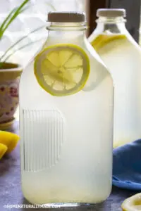homemade Lemonade best ever