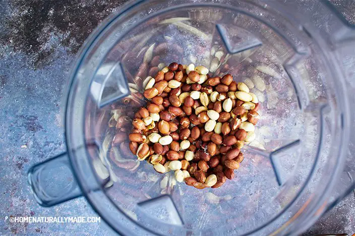 avocado oil, roasted peanuts and salt in the Vitamix Blender