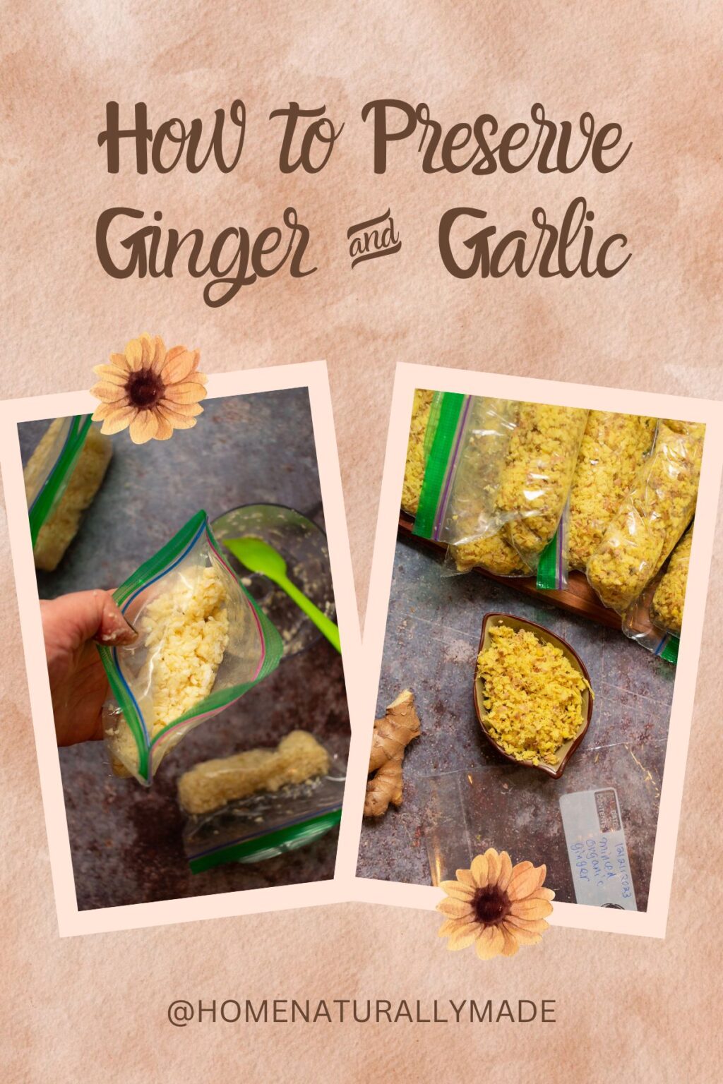How to Preserve Ginger and Garlic? HomeNaturallyMade