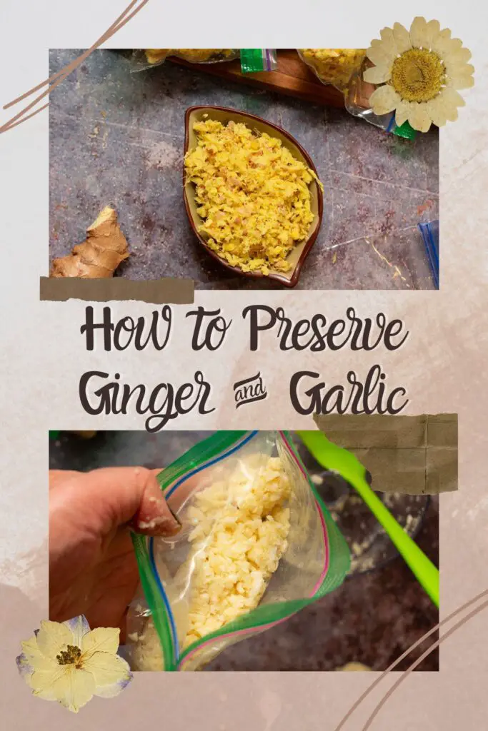 how to preserve ginger and garlic