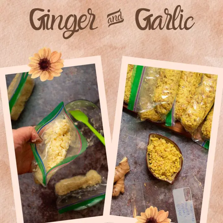 how to preserve ginger and garlic