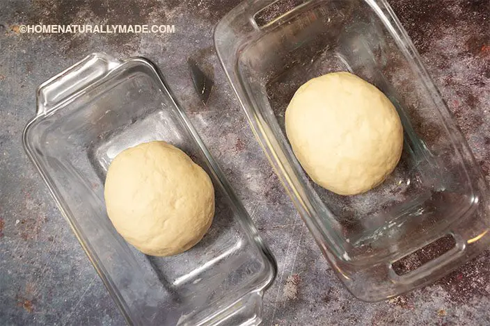 sandwich bread dough in the loaf pan before rise