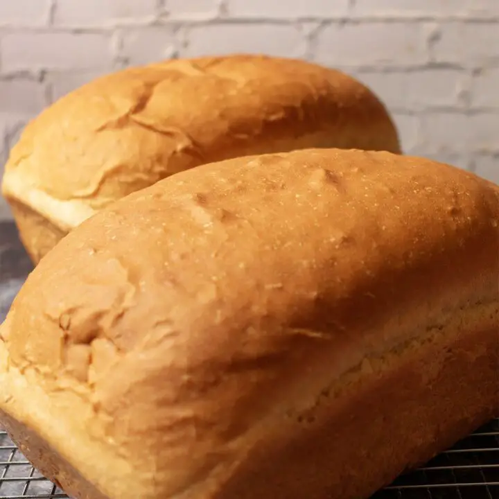 homemade sandwich bread recipe