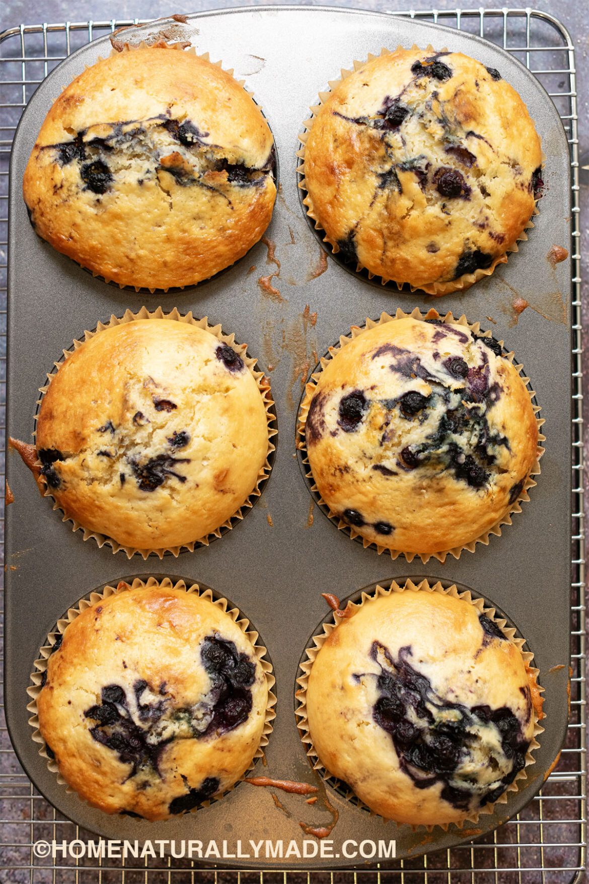 Blueberry Muffins HomeNaturallyMade
