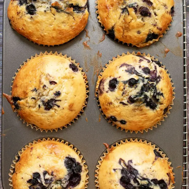 Blueberry Muffins Recipe using wild blueberries