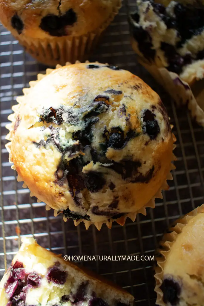 Wild blueberry muffins