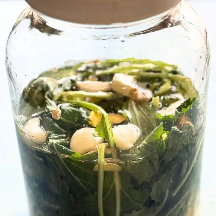 Sichuan Pao Cai {Pickle} recipe