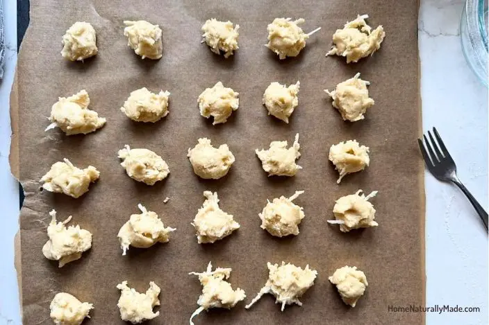 Making Danish Butter Cookies