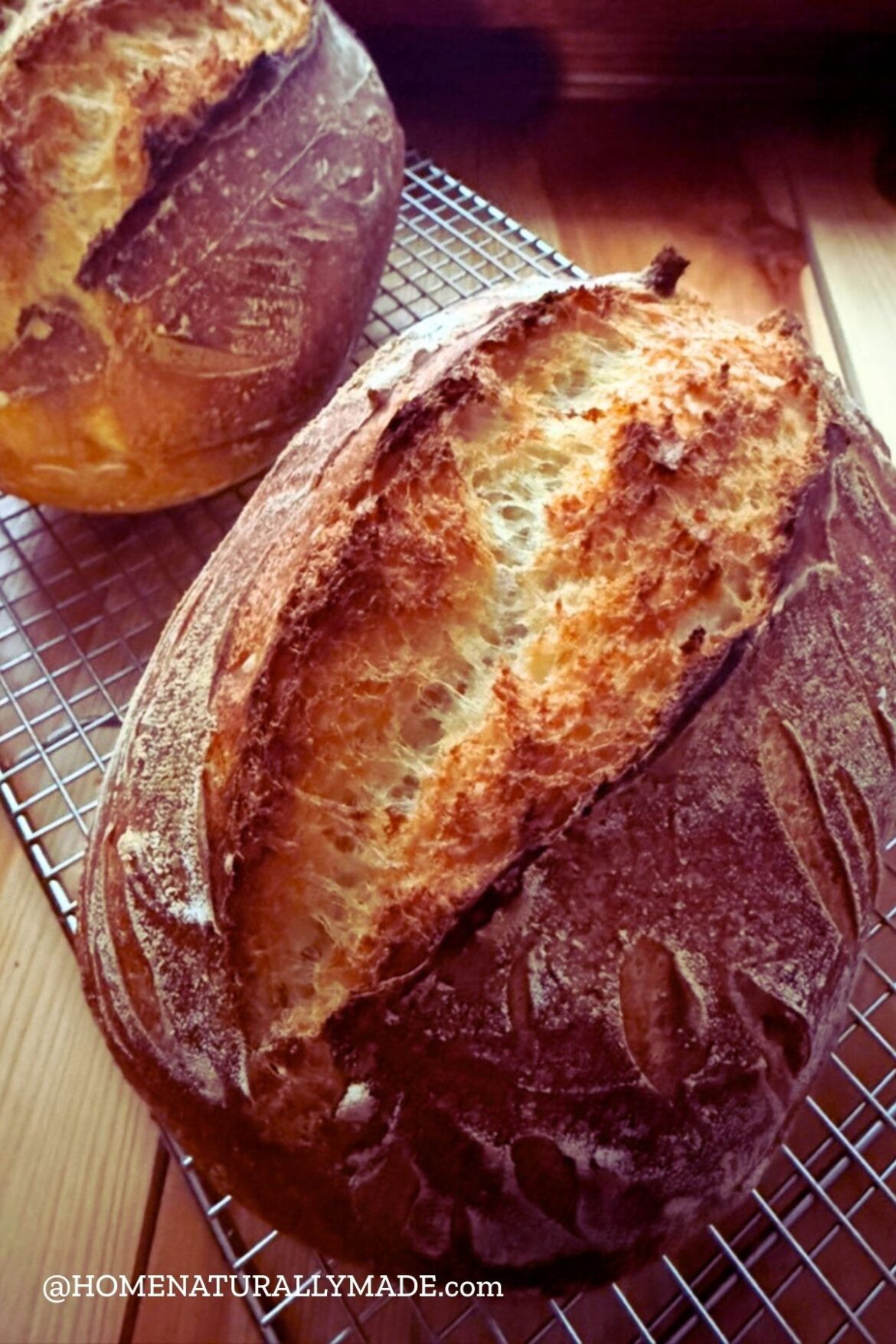 homemade sour dough