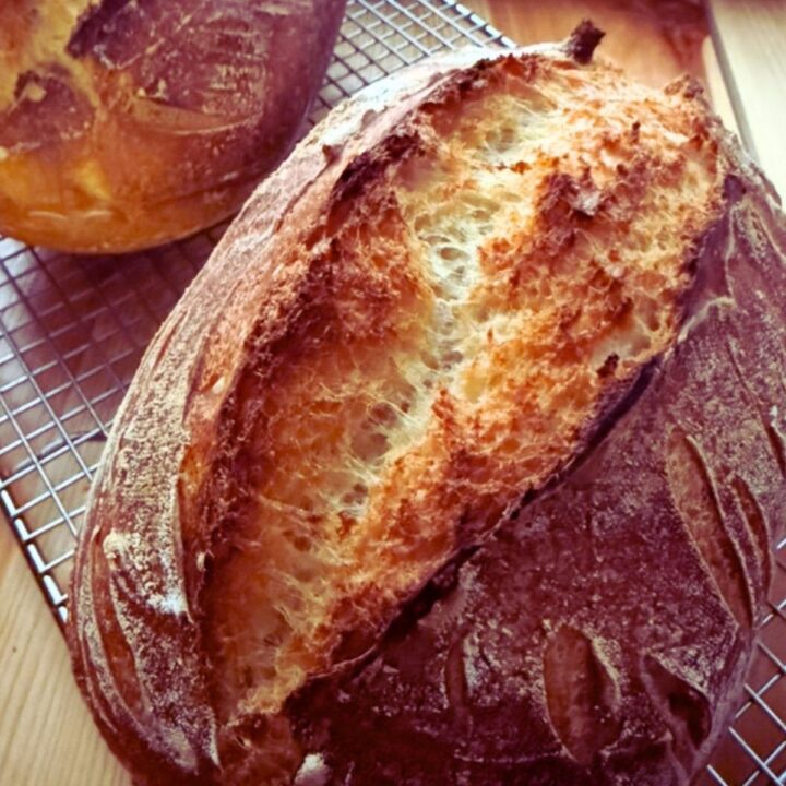 homemade sour dough